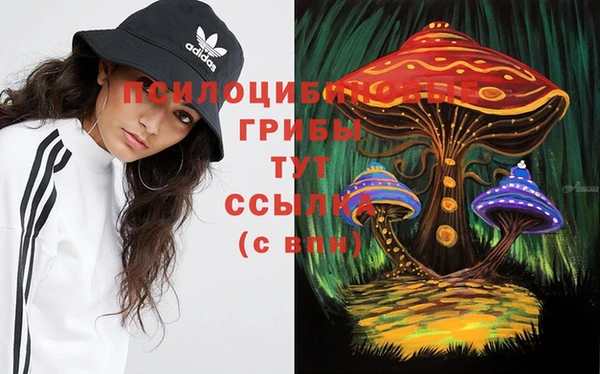 соль курить ск Надым