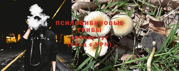 соль курить ск Надым