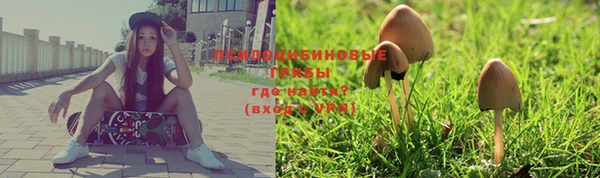 хмурый Наволоки