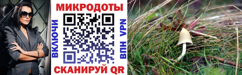 Галлюциногенные грибы ЛСД  Рыльск 